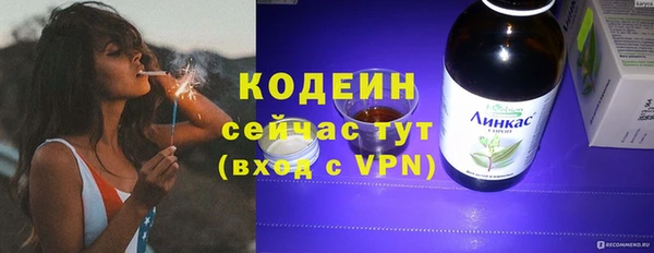 2c-b Инсар