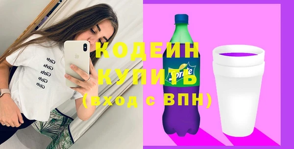 2c-b Инсар