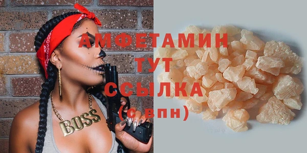 2c-b Инсар