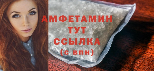 2c-b Инсар
