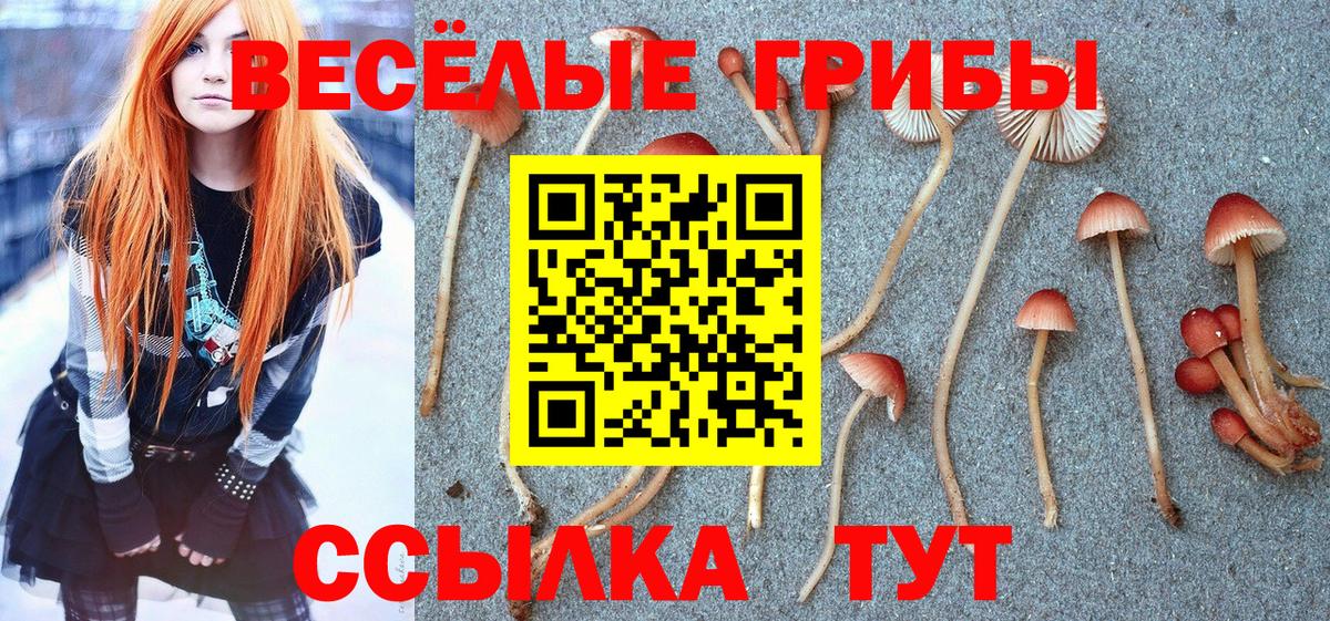 магазин продажи наркотиков  Вход с VPN  Галлюциногенные грибы Cubensis  Домодедово  Псилоцибиновые грибы Psilocybe 