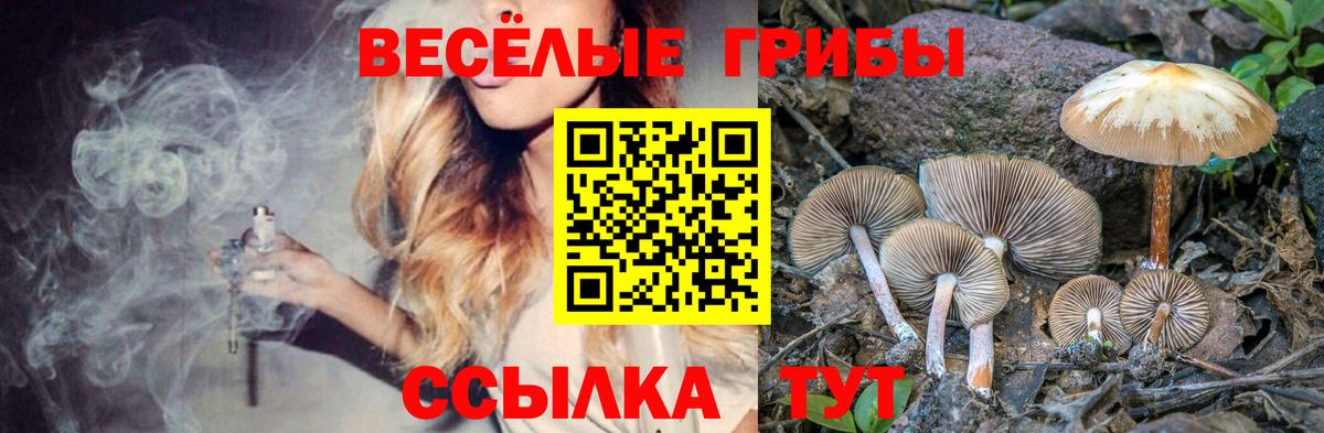 Псилоцибиновые грибы мицелий  Домодедово 